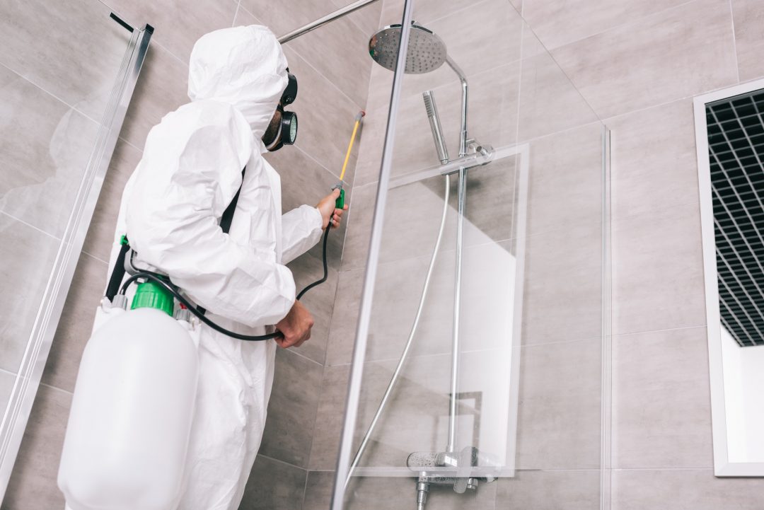 low-angle-view-of-pest-control-worker-spraying-pesticides-with-sprayer-in-bathroom